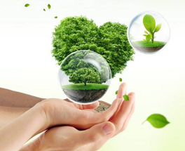 關于室內環保裝修，這六點你得了解