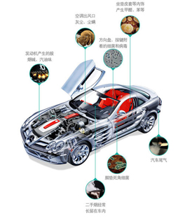 有車必看！新車內的異味