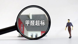 寵物們也會甲醛中毒?快看這些甲醛超標特征你家有沒有?