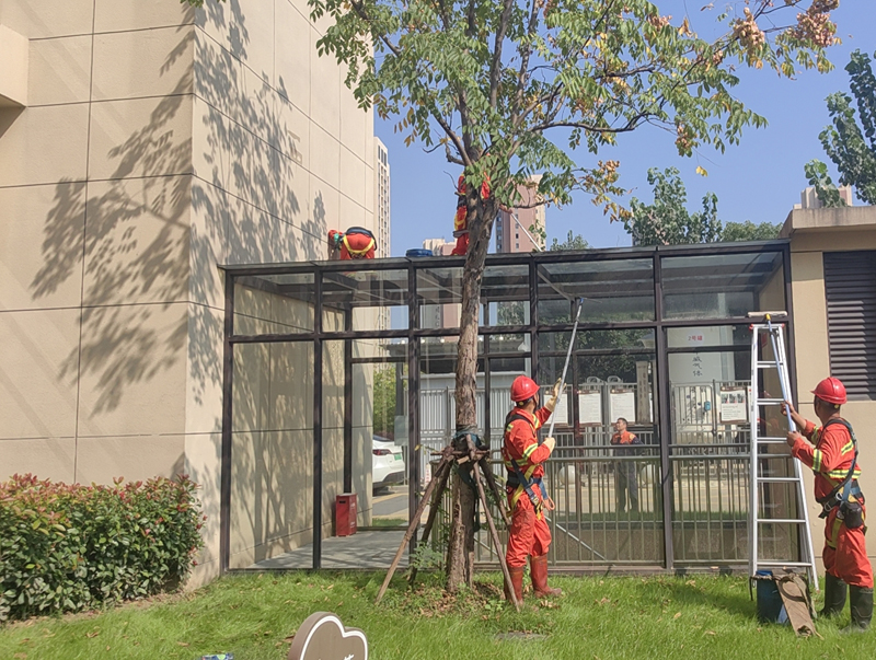 江橋5.jpg 江橋5.jpg