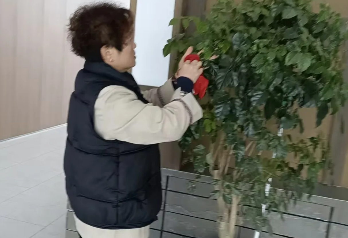 懶人必備｜每天10分鐘搞定日常保潔的終極清單